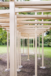 Supergola, [1:1] WORKSHOP