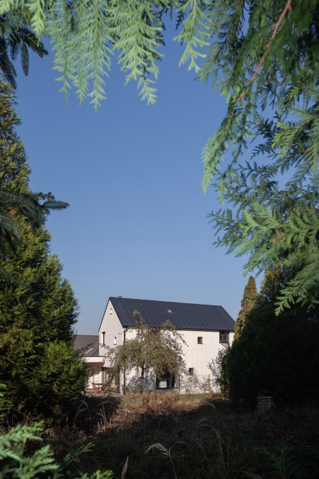 Dům před dvůr, DDAANN