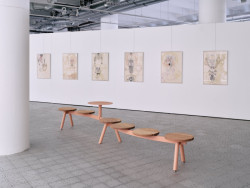 Morse od designéru ze Studia Segers získalo ocenění Red Dot Design Award v roce 2024. (Tři prestižní ocenění pro českou značku mmcité)