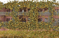 Martin Prokš, Marek Přikryl: Návrh domova pro seniory Praha Strašnice systémem prostorové modulace;  1.cena, 6. ročník, 2012 - foto