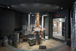 OTA, vinařství Salabka, prostory výroby vína, foto