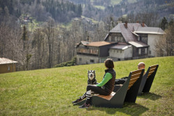 Křesla z robustní ocelové konstrukce s exotickým dřevem Sapele od Valovera Friends.