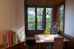 music for the forest,