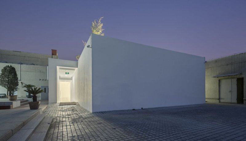 Bamboo Forest, V Studio