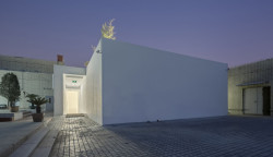 Bamboo Forest, V Studio