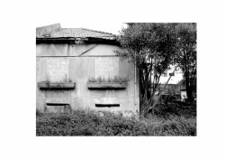 Casa no Porto, João Vieira de Campos