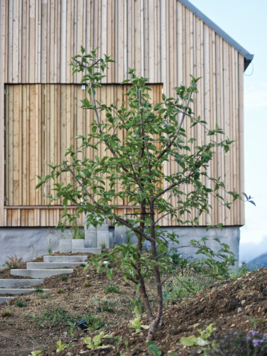 Dom Hora, Archholiks.