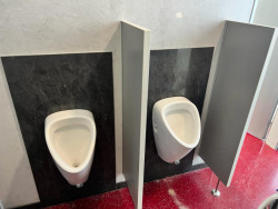 Univerzita Palackého v Olomouci má na svých toaletách nově moderní bezvodé pisoáry a energeticky úsporné osoušeče rukou, které dodala společnost EcoStep.