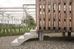 Kromě návrhu altánu v areálu nechali architekt a architektka vysázet ovocné stromy, které budou spolu s pestrou skladbou bylin mezi řádky vinohradů zamezovat půdním erozím při přívalových deštích. 