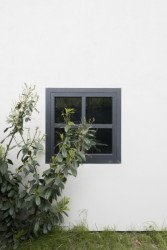 Dom V, Martin Skoček