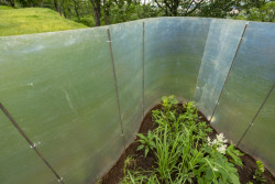 Zahrada zahrad, Adam Lacina a Jana Zuntychová.