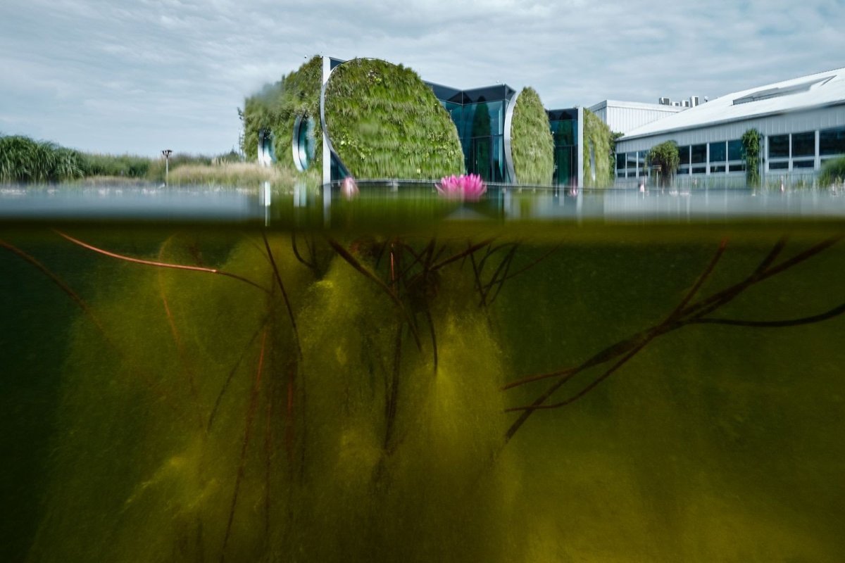 Fránek architects, Experimentální objekt ve Slavkově u Brna, foto