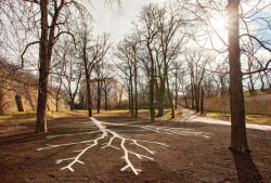 Pomník Maxe van der Stoela, Dominik Lang