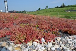 3. místo - Extenzivní střechy a pěstební střešní zahrada v Lukách nad Jihlavou.