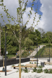 Šestice platanů a bylinkové záhony jsou rozmístěny tak, aby co nejlépe zachytávaly a akumulovaly dešťovou vodu, která teče po šikmé ploše náměstí. (Tachovské náměstí v Praze, OVA)