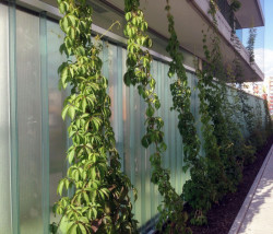 SLLA, Komunitní centrum Máj – foto