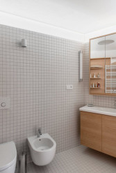 masparti, Podkrovní byt na třídě Míru – foto