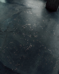 Dalším experimentem se stal vývoj speciálních teracových podlah, ve kterých plavou i kusy měděných drátů upomínající na předešlou funkci budovy.