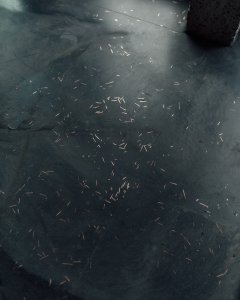 Dalším experimentem se stal vývoj speciálních teracových podlah, ve kterých plavou i kusy měděných drátů upomínající na předešlou funkci budovy.