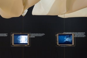 Bienále experimentální architektury, expozice v GJF - foto
