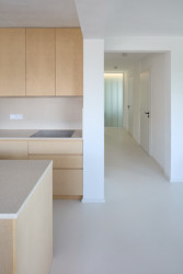 Kuchyně (Řadový dům v Čimicích, Plus One Architects)