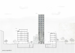 Bytový dům v Karlíně, řezopohled, Barbora Červeňová