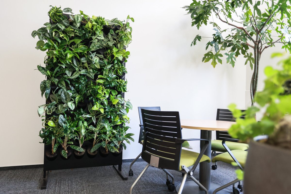Jednorázové pronájmy rostlin a zelených stěn na eventy od Jungle Interiors