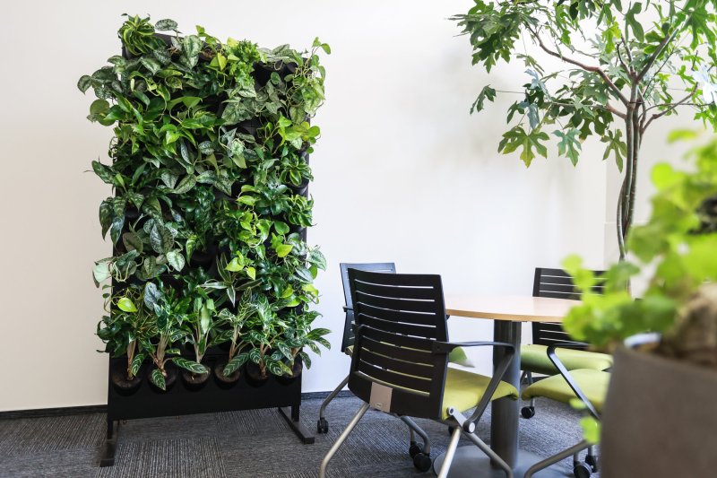 Jednorázové pronájmy rostlin a zelených stěn na eventy od Jungle Interiors