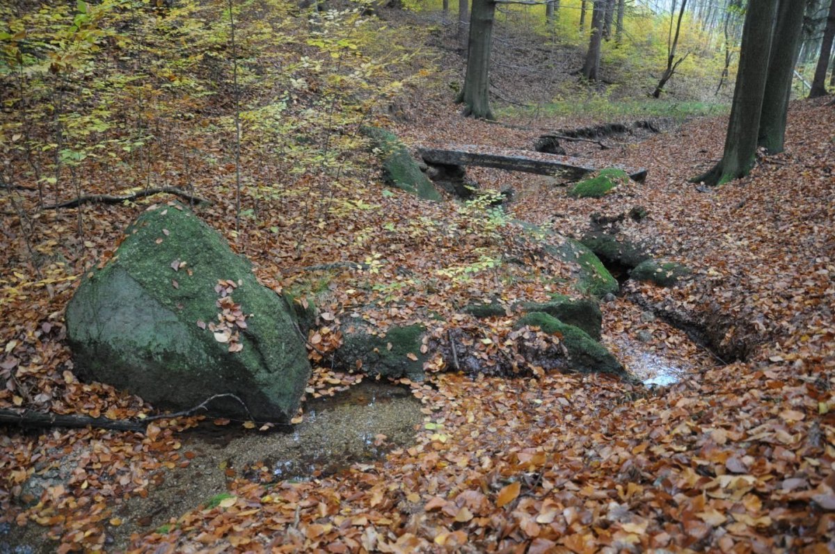 Pomník Achima Šipla, Rudolf Hůlka