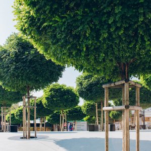 Revitalizace vnitřního prostoru nákupního střediska Centrum v Prešově, zerozero.