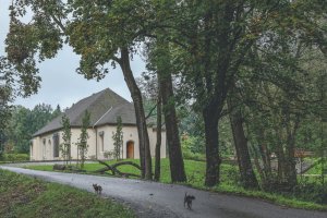 Oživená ruina v krajinářském parku. Letohrádek Bažantnice v Nových Hradech přestavěný na bydlení, DEBYT
