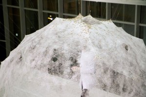 Profesorka Neri Oxman se svým týmem na MIT navrhla Hedvábný pavilon.  Zkoumá zde vztah mezi digitální a biologickou výrobou produktu v architektonickém měřítku. 6500 bourců morušových bylo umístěno na předpřipravenou konstrukci a vytvořilo transparentní pavilon různorodé hustoty.