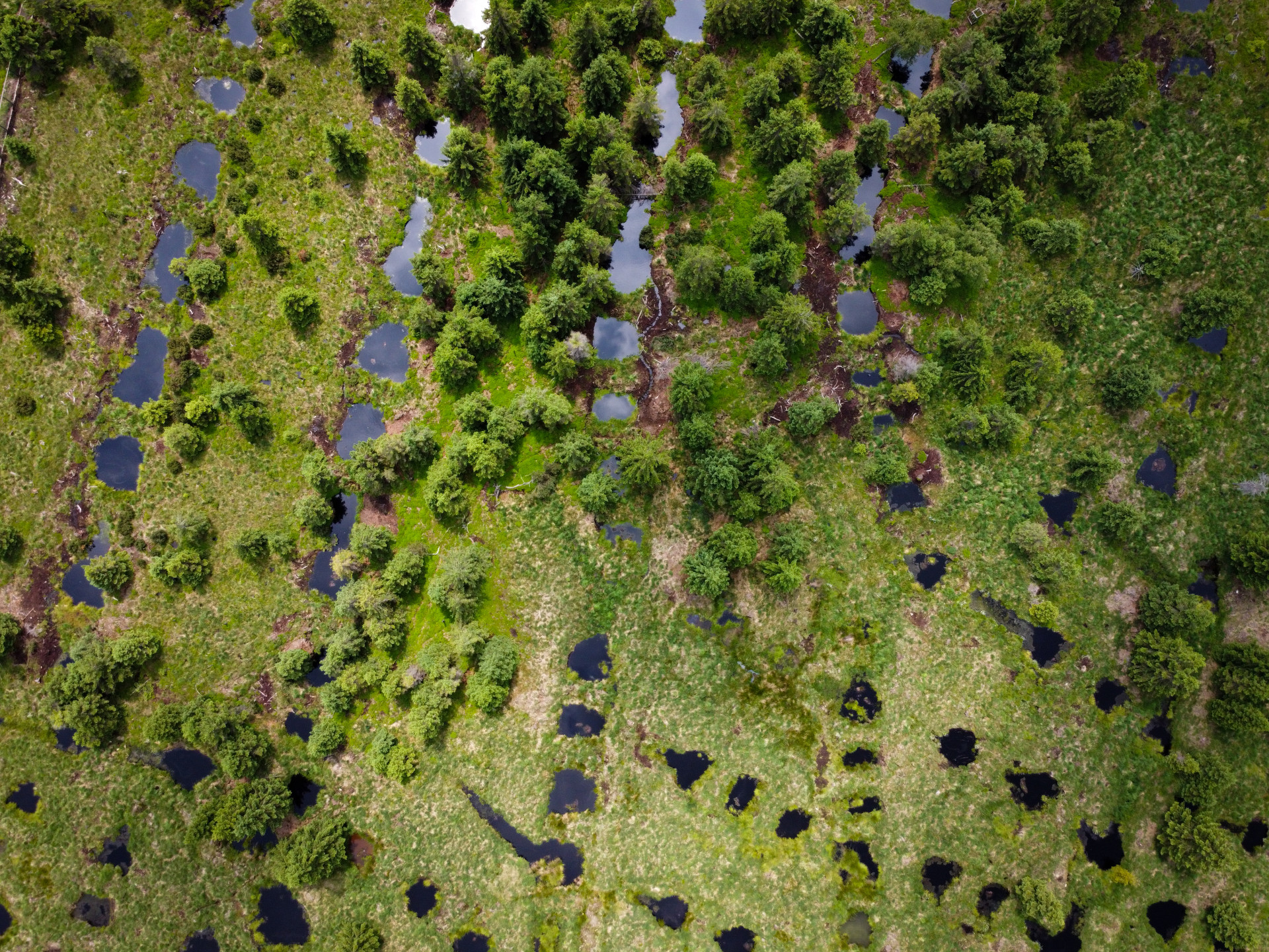 Nadace Partnerství zahájila přihlašování do pátého ročníku soutěže Adapterra Awards