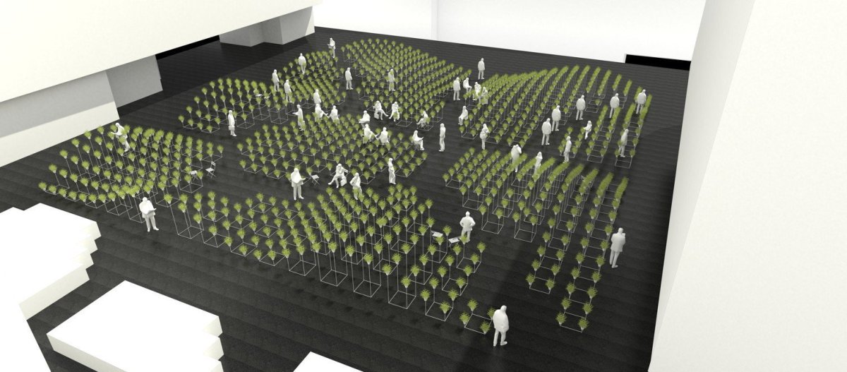Victoria Pragensis, perspektiva, llj architects/ Haenke