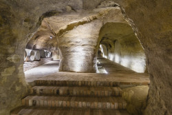 Vinný sklep Konice, Tomáš Dvořák architekti