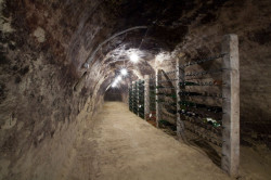 ORA, Vinný sklep U Modráka – foto