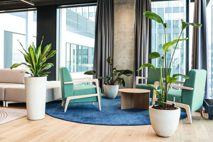 Pronájem rostlin s péčí od Jungle Interiors