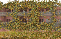 Martin Prokš, Marek Přikryl: Návrh domova pro seniory Praha Strašnice systémem prostorové modulace;  1.cena, 6. ročník, 2012 - foto