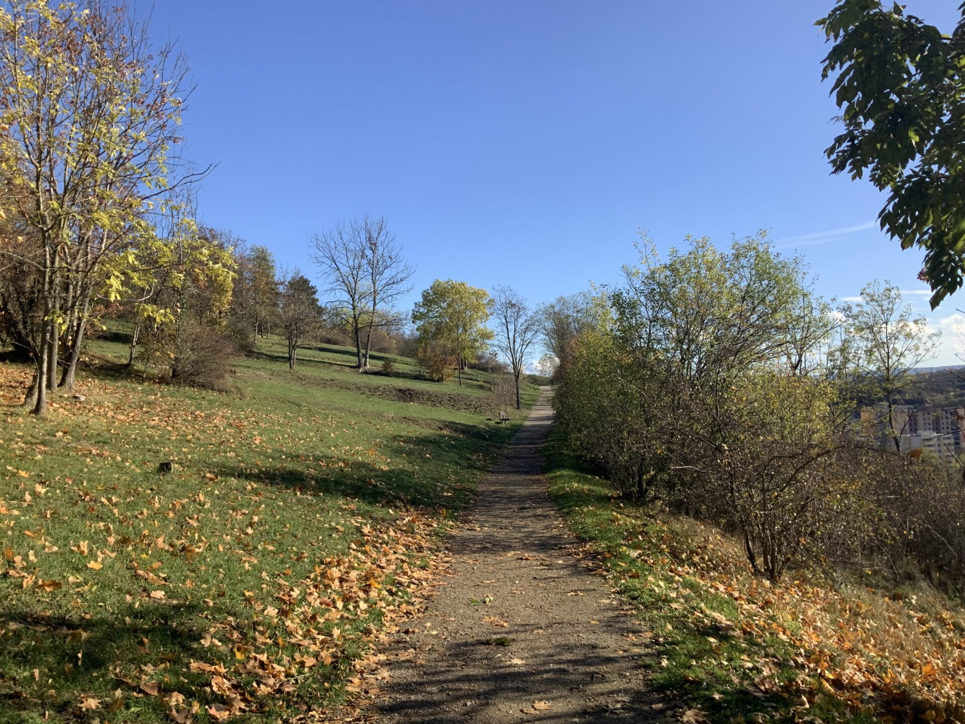 Do 30. srpna 2024 mohou ateliéry posílat své návrhy do krajinářsko-architektonické soutěže na návrh Městské hory v Berouně.