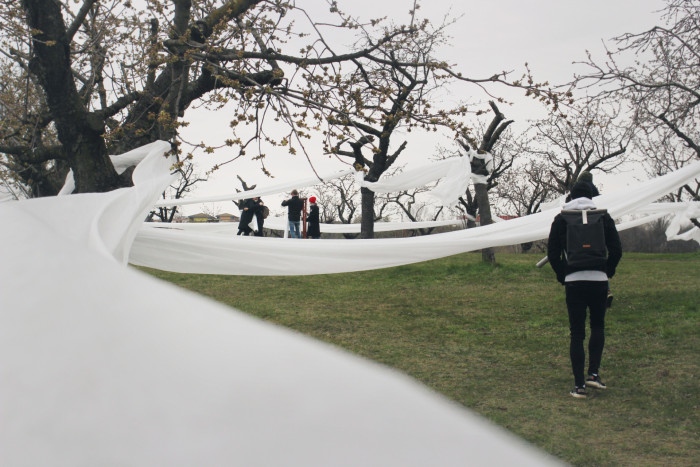 Landartová instalace Třešňovka, Tomáš Kodet.