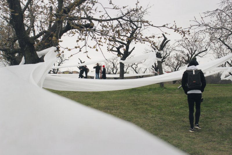 Landartová instalace Třešňovka, Tomáš Kodet.