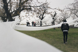 Landartová instalace Třešňovka, Tomáš Kodet.