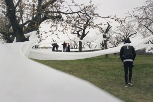 Landartová instalace Třešňovka, Tomáš Kodet.