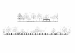 Soubor kolektivního bydlení Oosterwold - bureau SLA, řez