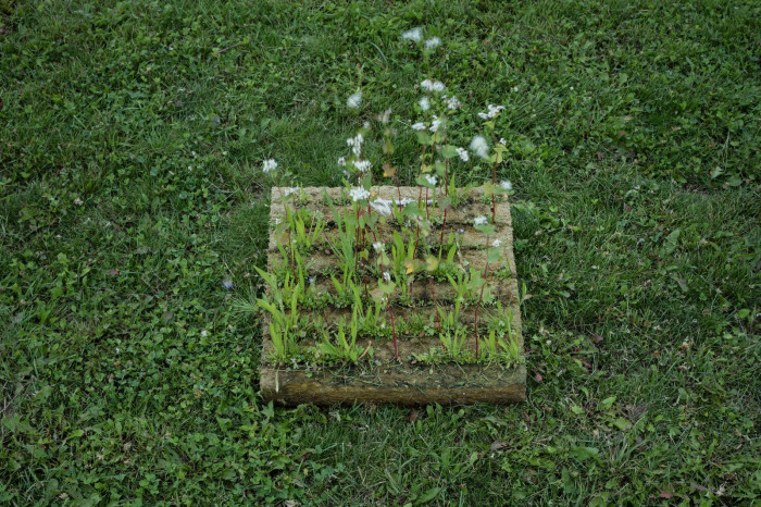 Fránek architects, Experimentální objekt ve Slavkově u Brna, foto