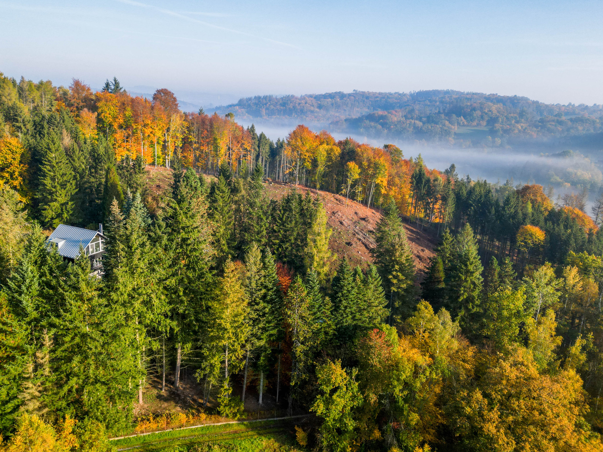 3K Architects zrekonstruovali rekreační chatu na Benešovsku na pozemku s ojedinělým severským rázem