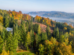 3K Architects zrekonstruovali rekreační chatu na Benešovsku na pozemku s ojedinělým severským rázem