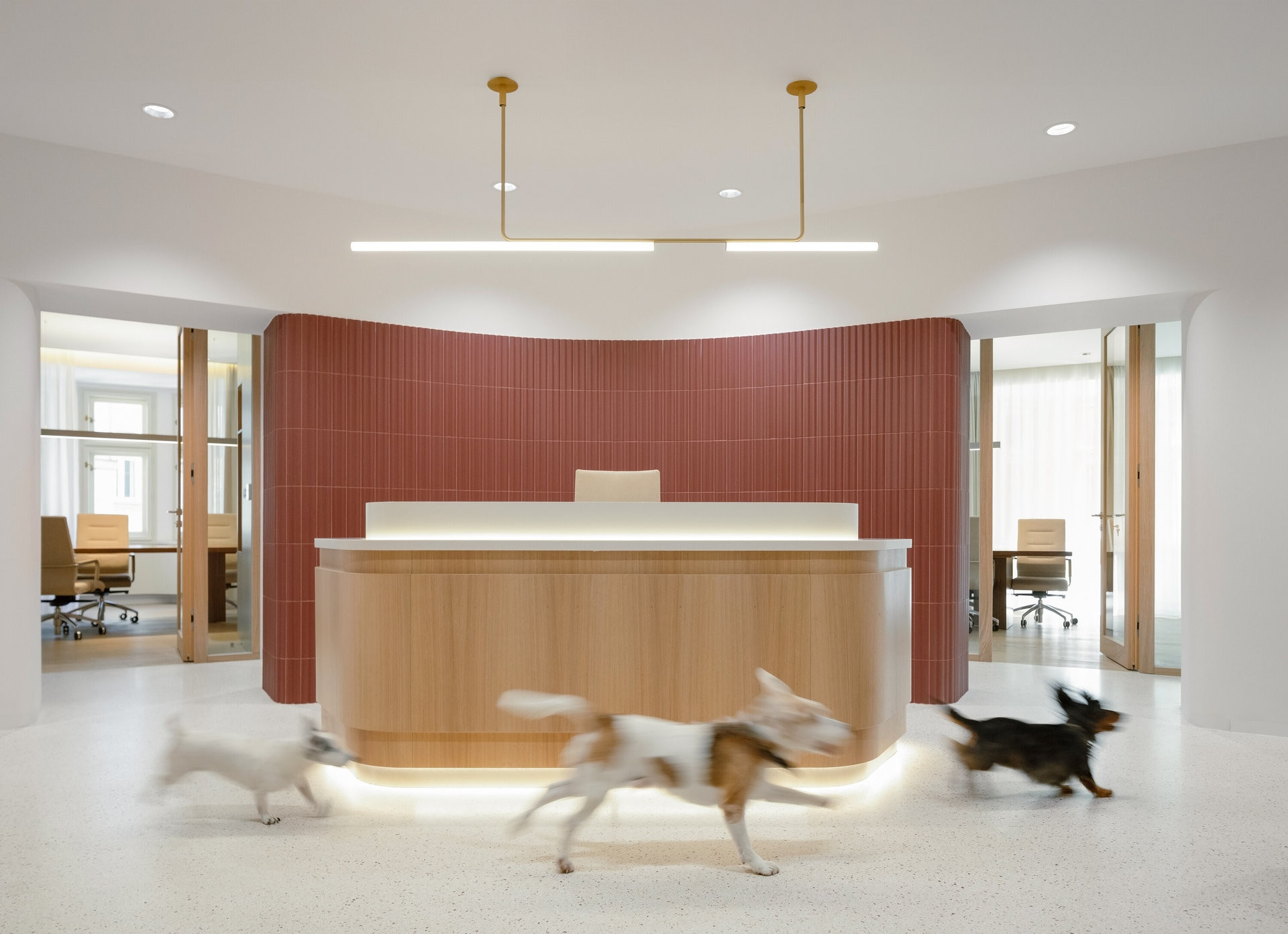 Palác Akropolis obsahuje kancelářské patro, které prošlo rekonstrukcí podle Marco Maio Architects (Zrekonstruované kanceláře v Paláci Akropolis; Marco Maio Architects)