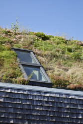 Les Pieds Vertes, j + e architekti / Benjamin Jardel, Nicolas Epaillard