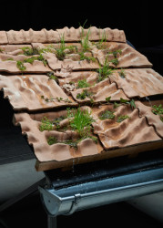 Střešní tašky, v nichž může růst vegetace, projekt Stely Kučerové a Michaela Šourka, který se bude prezentovat na festivalu Ars Eletronica.